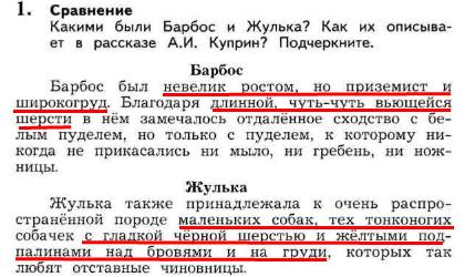 Восстанови сюжет рассказа по схеме а и куприн барбос и жулька