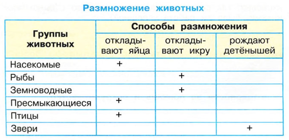 Размножение животных 3 класс окружающий мир плешаков. Таблица размножение и развитие животных 3 класс окружающий мир. Размножение и развитие животных 3 класс задания. Размножение и развитие животных 3 класс окружающий мир Плешаков. Размножение животных таблица 3 класс окружающий мир.