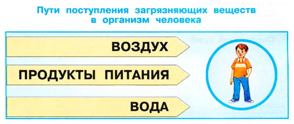 Продукты воздуха. Пути поступления загрязняющих веществ в организм. Пути поступления загрязненных веществ в организм человека. Схема пути поступления загрязняющих веществ в организм человека. Экологическая безопасность рабочая тетрадь.