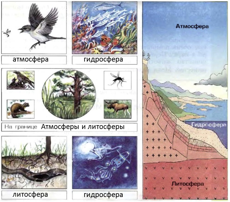 Атмосфера гидросфера литосфера рисунок