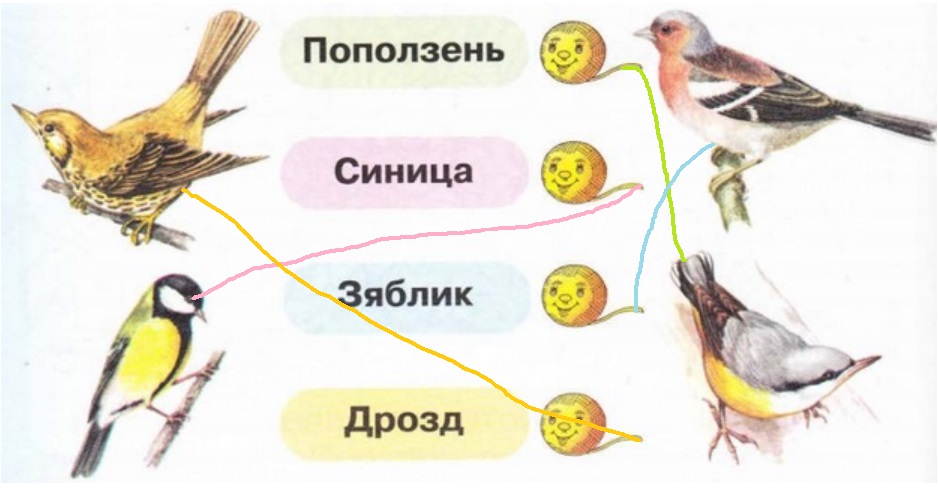 Заливаются птицы малиновки зяблики составить схему предложения