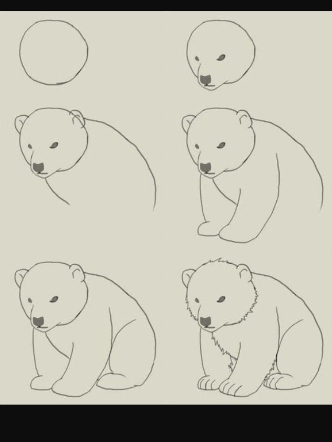 Медведь рисунок детский карандашом