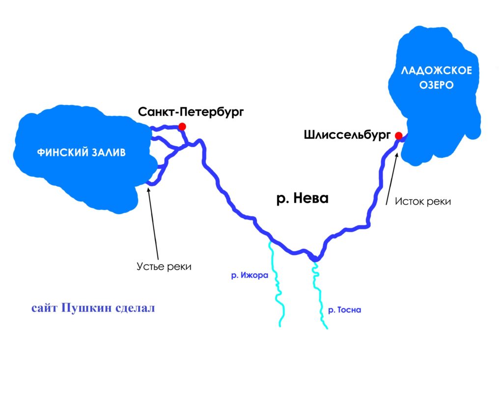 Куда впадает Нева? | Человек и мир | Дзен