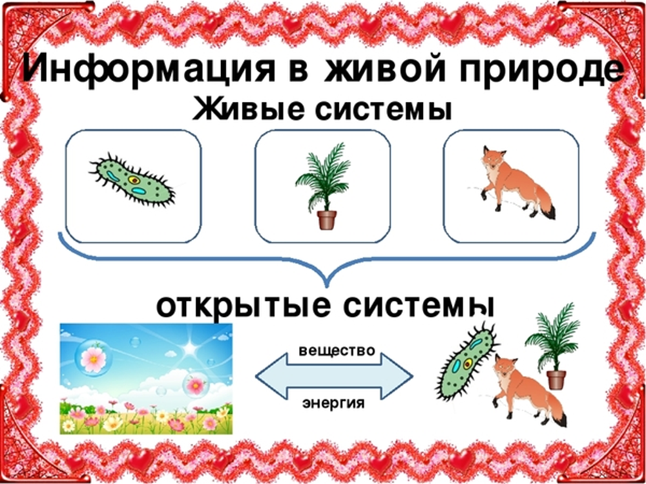 Установите соответствие между живой природой и. Информация в живой природе. Примеры открытых систем в живой и неживой природе. Системы живой природы примеры. Живые и неживые системы в биологии.