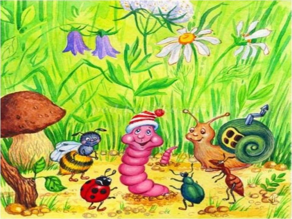 Картинки с насекомыми для детей. Насекомые для дошкольников. Насекомые картинки для детей. Мир насекомых для детей. Удивительный мир насекомых.