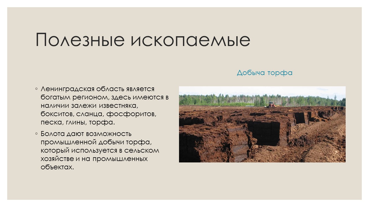 Экономика родного края санкт петербург проект 3 класс окружающий мир санкт петербург