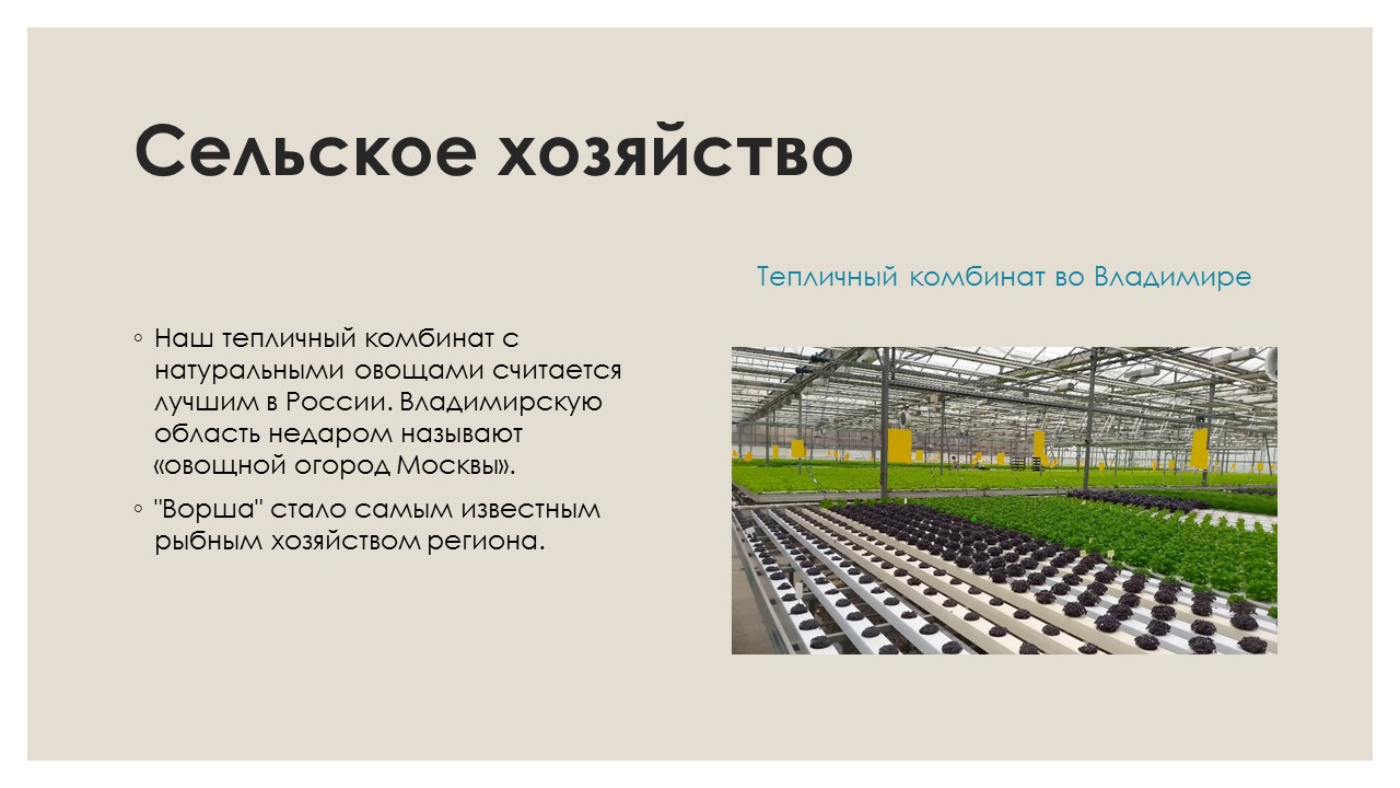 Экономика москвы 3 класс. Проект экономика родного края 3 класс окружающий мир. Экономика Владимирской области 3 класс окружающий мир. Экономика Владимирской области 3 класс окружающий мир проект. Экономика Владимирского края проект 3 класс окружающий мир.