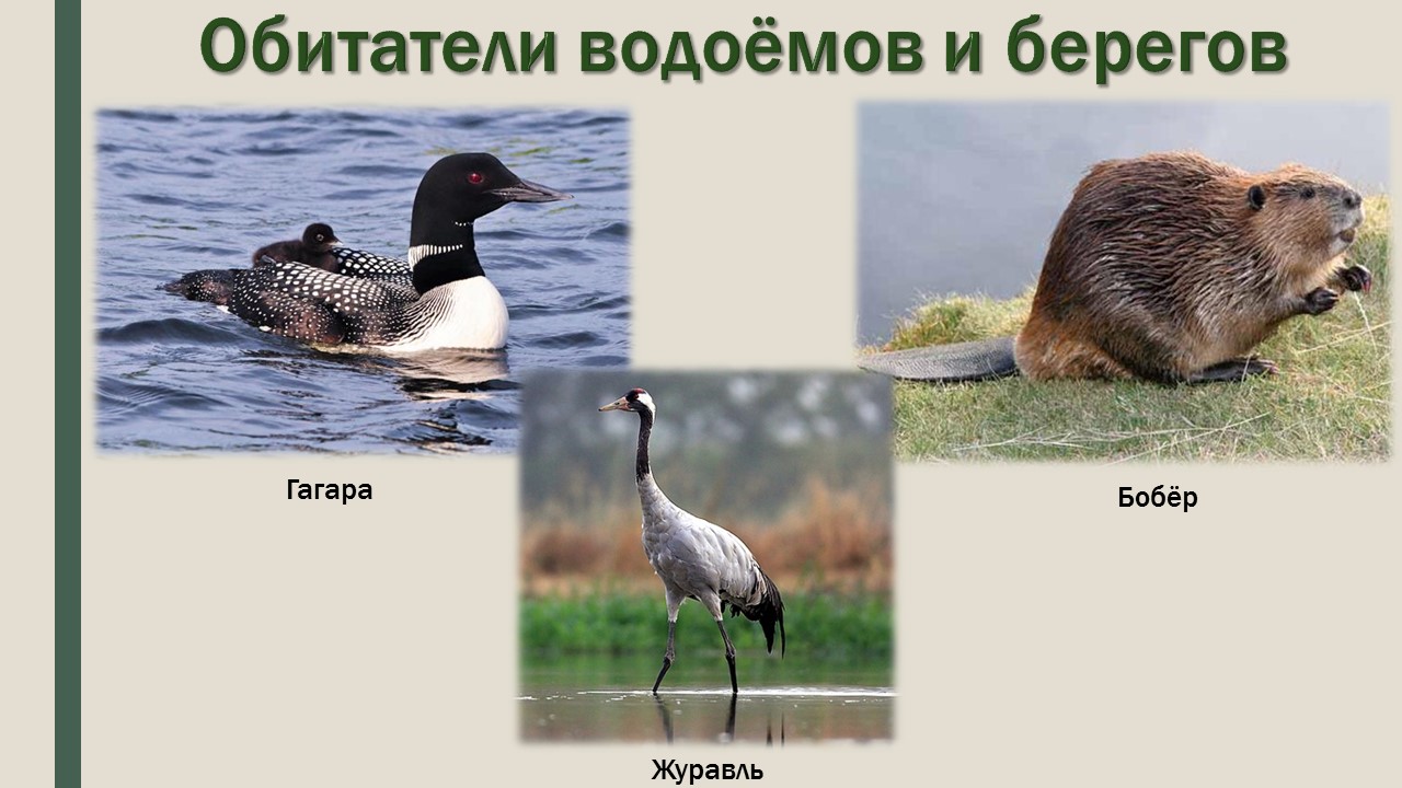 Слайд12 | Пушкин сделал!