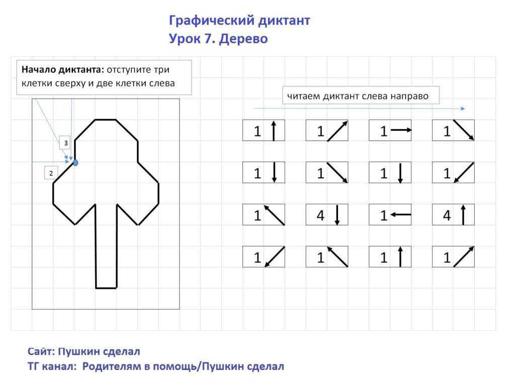 Графический диктант. Урок 7. Дерево